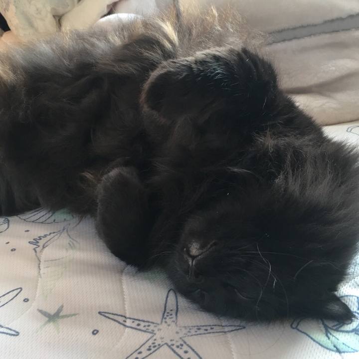 9648c554 551f 4326 b119 2e80d01adc5a 1545460350852