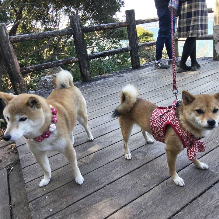 9648cb45 07ec 4460 b4a1 d17ec48f3828 1772947558000