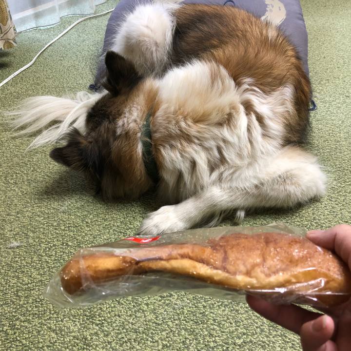 9648f408 cd19 4cf5 a827 7e236e0776f5 1515024813317