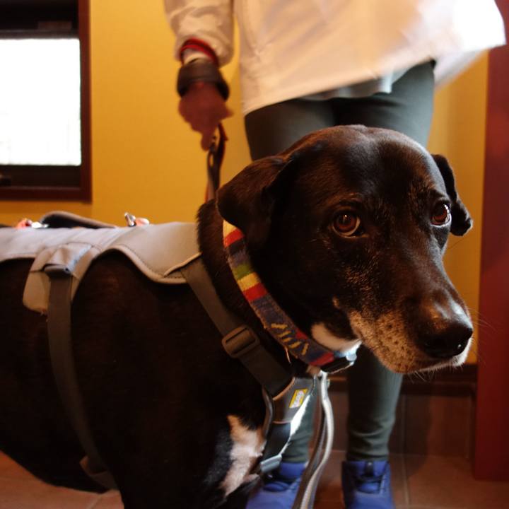 9649038e 5482 42e7 bfd1 b4efc28baba5 1741825556438