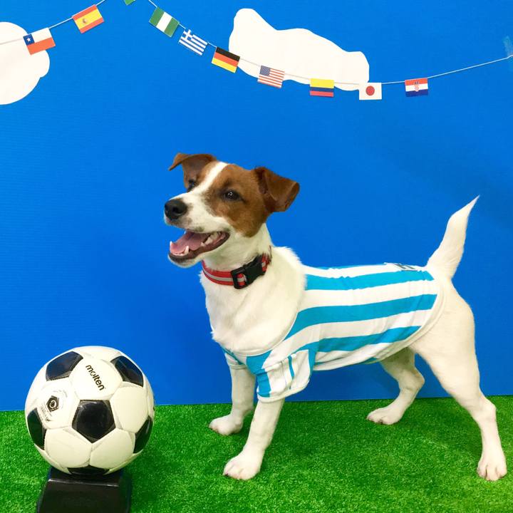 96491518 f39e 421f bb12 23430e2a1639 1513777387425