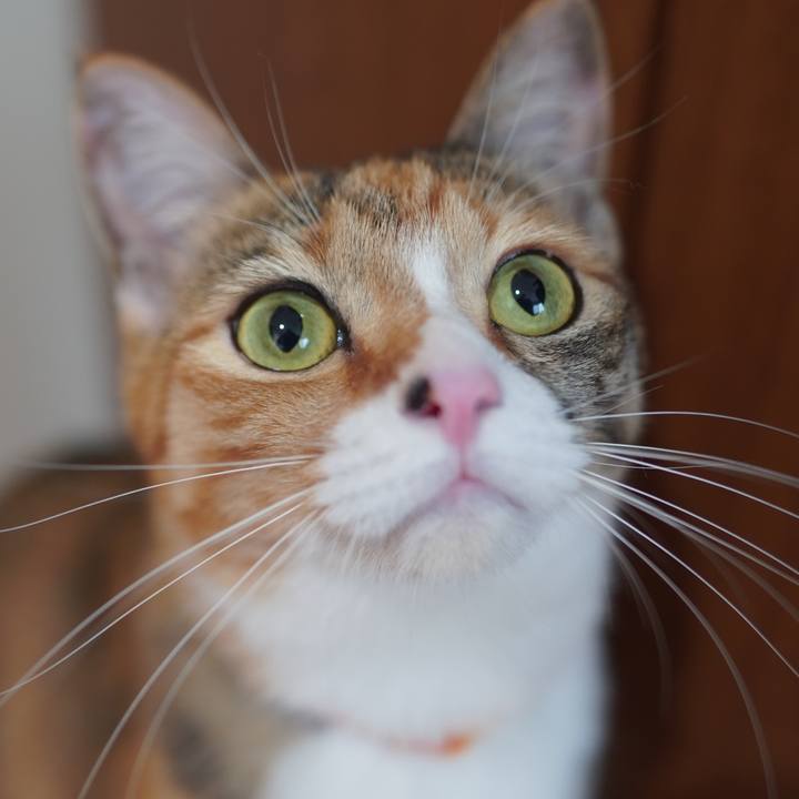 96491e76 a01b 4988 9eca 516e1c1e21f2 1599913028098