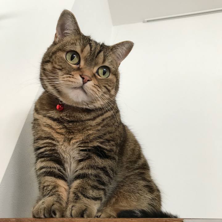 9649332b bc63 48b1 a27e 3b4f54a3da5b 1518493420346