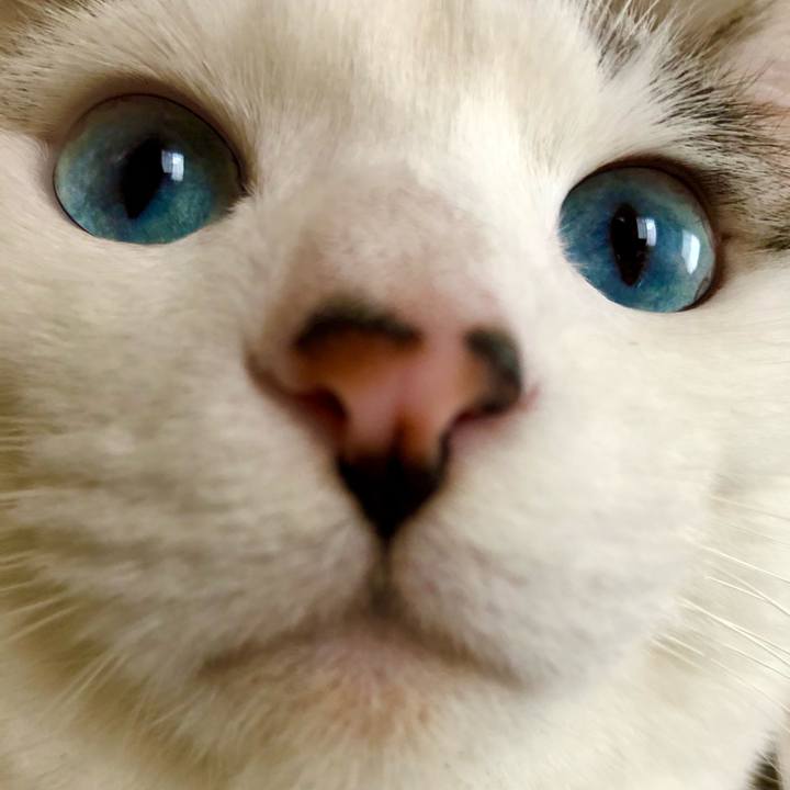 9649334d e422 4402 8950 1da9fa06c4eb 1607907533180