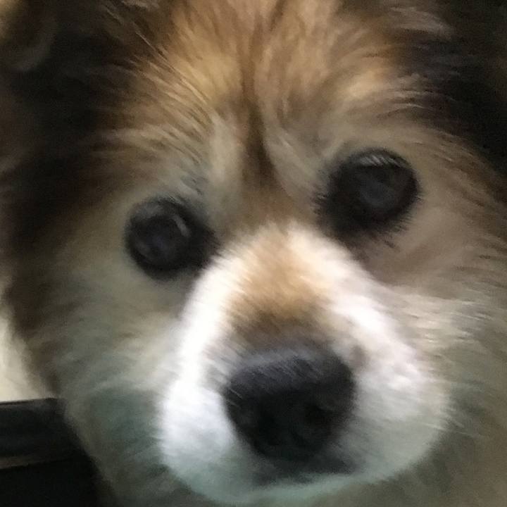 96494a4a a8d0 402e b876 298bc173d6fd 1608084641384