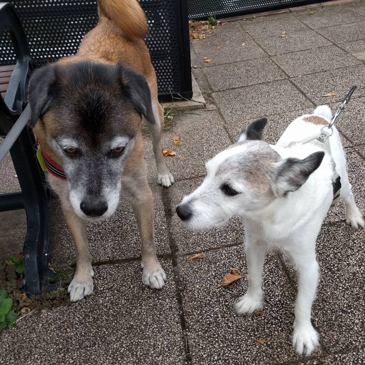 964966c8 85c3 4fbf b496 904bf2d81bab 1539128611268