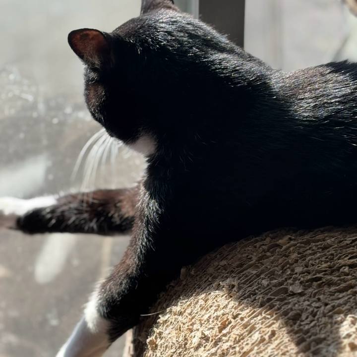 96496858 a1c4 482c ab82 b516c10b185f 1760401009976