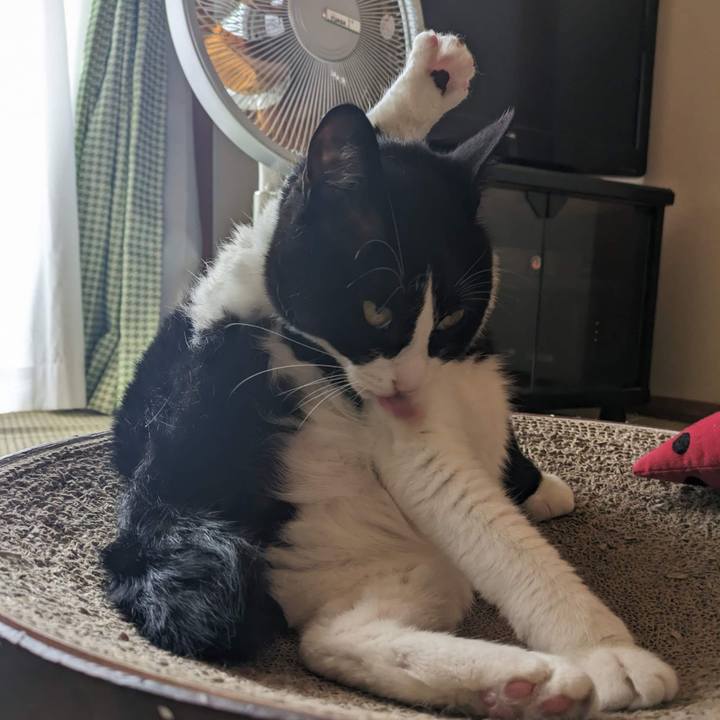 9649734b c488 4175 a12c 113839bdd8bc 1688099794104