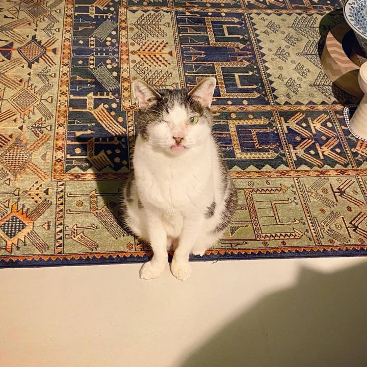 96497514 2a1e 464f 8eac c550f21ac953 1611319321150