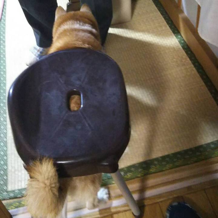 964a7df3 0b2d 44b1 9b3f 3c1f829526f0 1515929124758