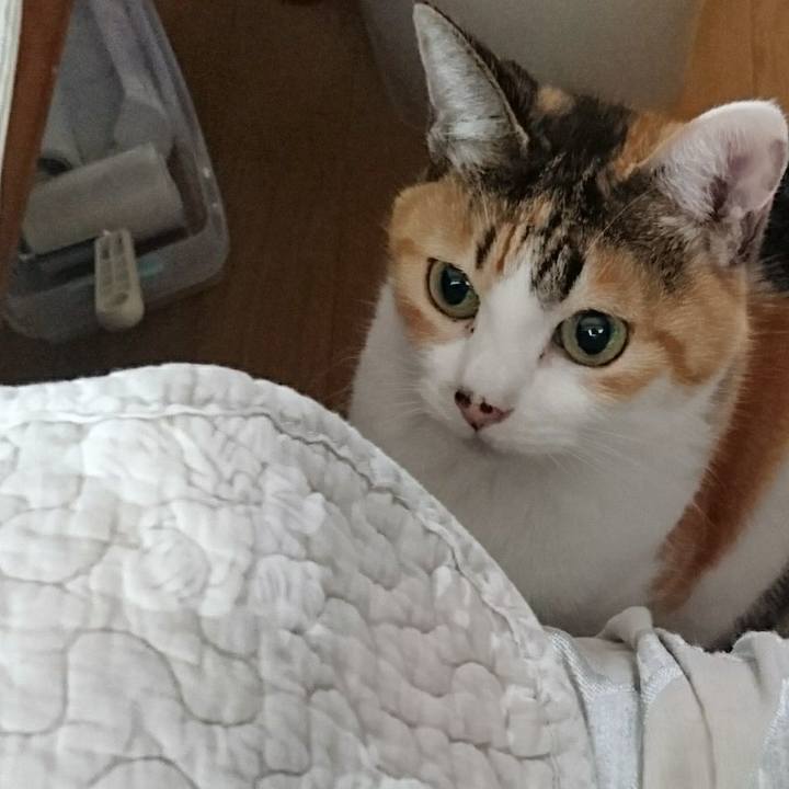 964ac106 051a 4aa8 bb94 dc030dc441da 1600735024357