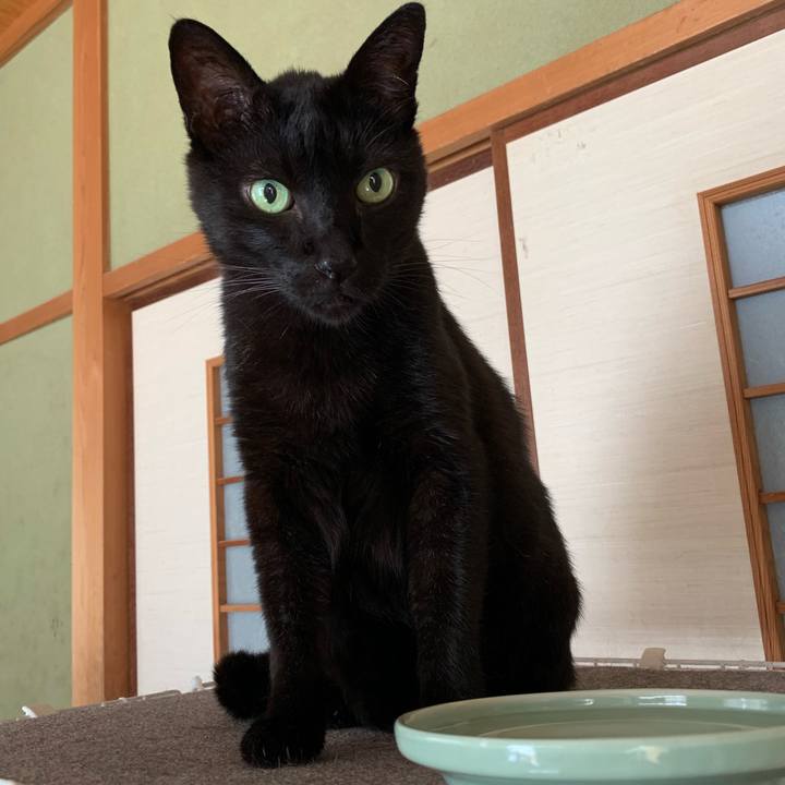 964ad2b1 2b27 4442 89c6 5aecbf157207 1562373795890