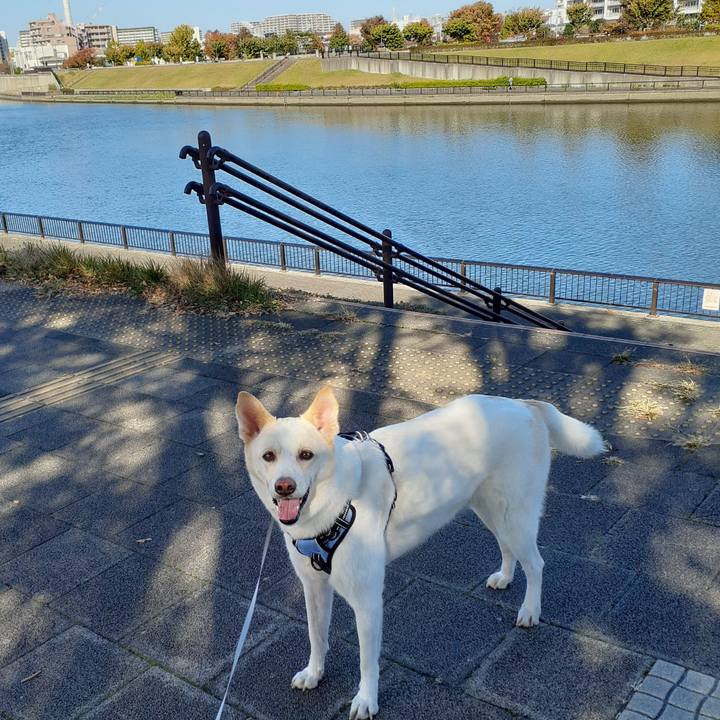 964b20ec ac8b 4358 9298 d3cb929d8274 1636174435212