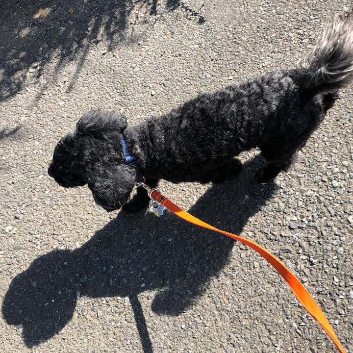 964b4443 4142 42b2 bc1c 1fd41954e26a 1582511025141