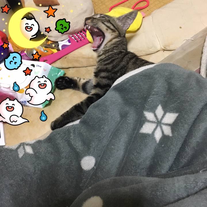 964b4541 6ac7 4b41 b4f0 c81892c543c4 1539877273955