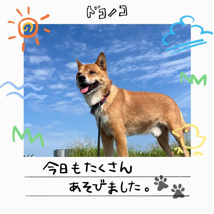 964b623d 9e5a 409b a574 f37c0d7a465c 1755316893162