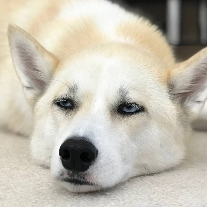 964b7121 13dd 4c4f 8769 344d45e953c0 1530506553114