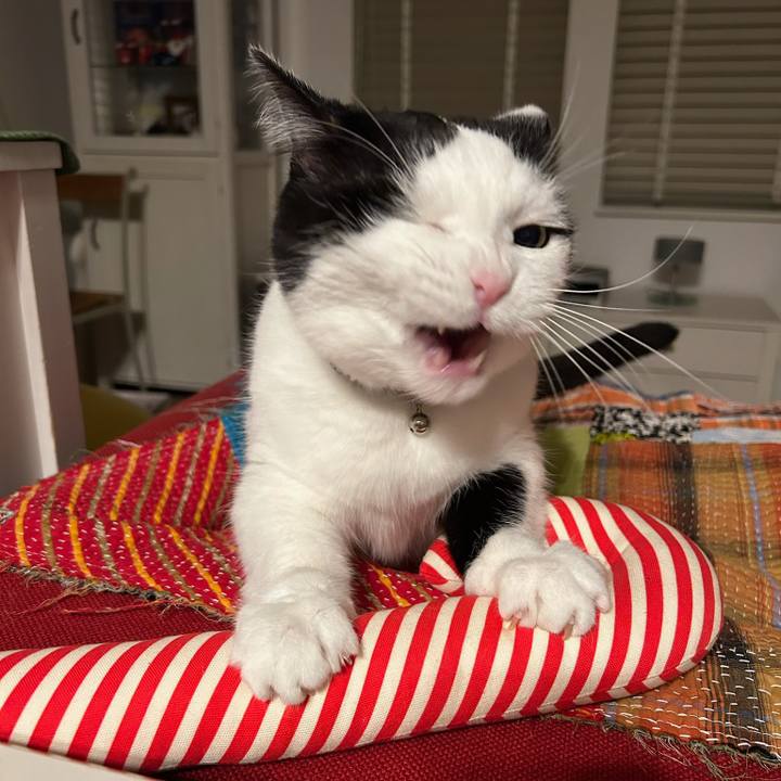 964b7597 5c7d 43f7 b924 586d97ff16c2 1775172383877