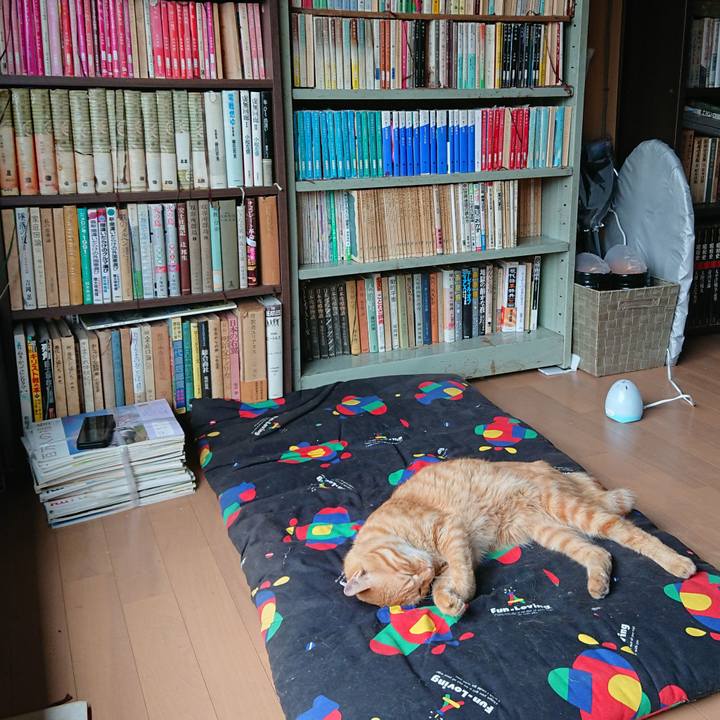 964bd099 a02c 4d8a a22e ea4fd3d643d1 1662534233966