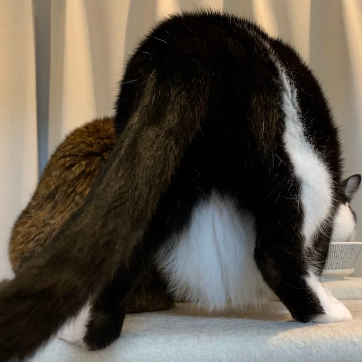 964bdb2b 1ec1 489b a173 b02ecd9719c3 1558401824852