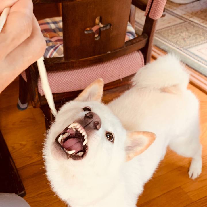 964be5dd 4f72 466f 92d5 6091b7c51265 1563950265368