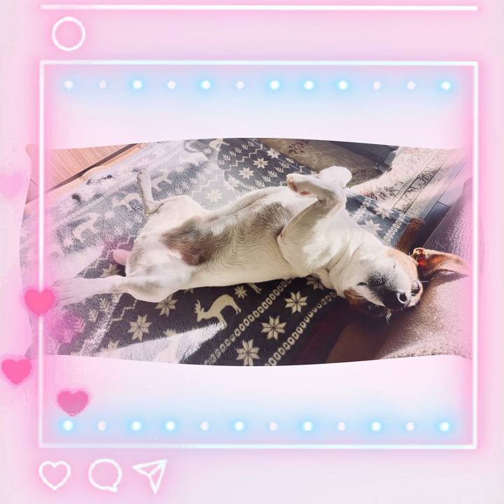 964bec12 cd7a 40ea b93c 2237954c5099 1739579699222