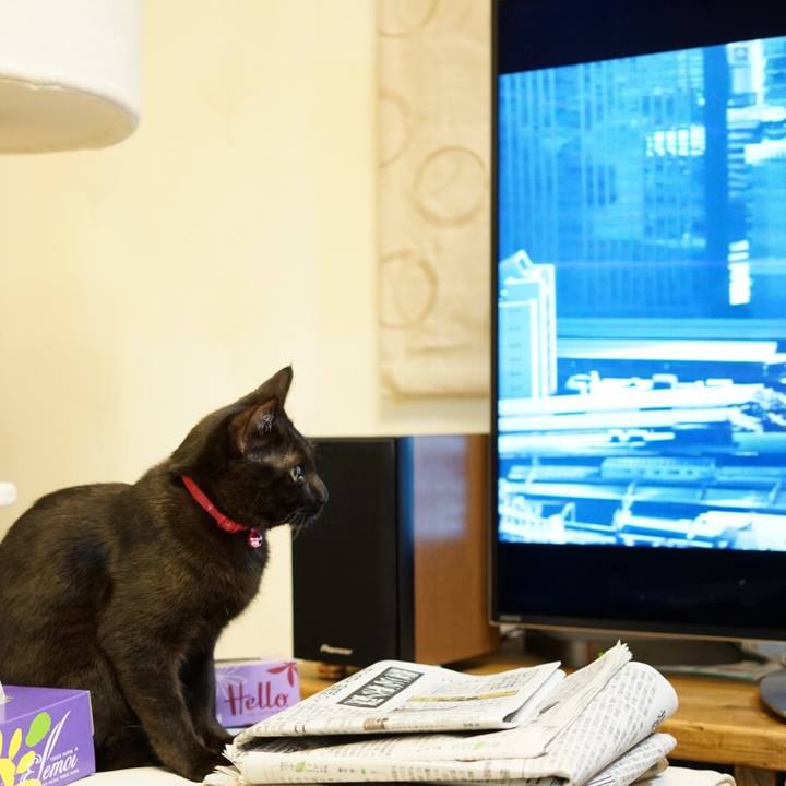 964c1165 d7a5 434c 806c c2c702e65da4 1511443273263