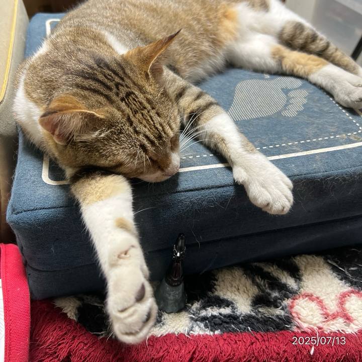 964c35c7 45cf 44d2 bb30 2958eeae9b7c 1752408105074