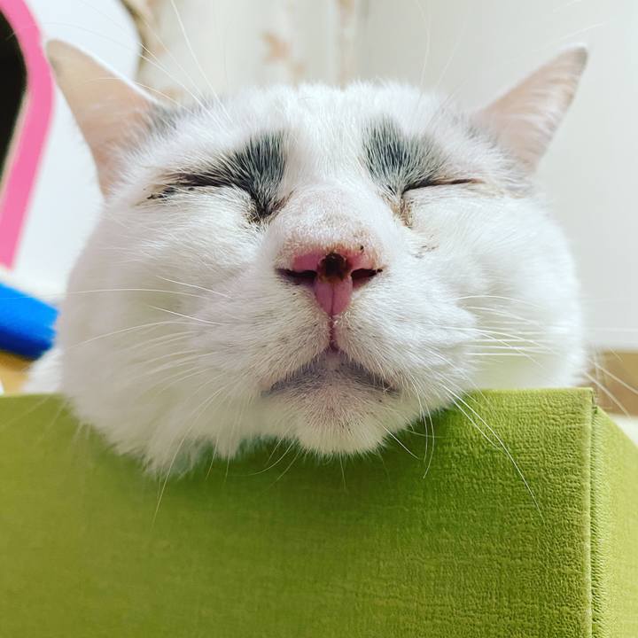 964c9202 c4b7 485a 9103 0c8586a23af0 1610201772889