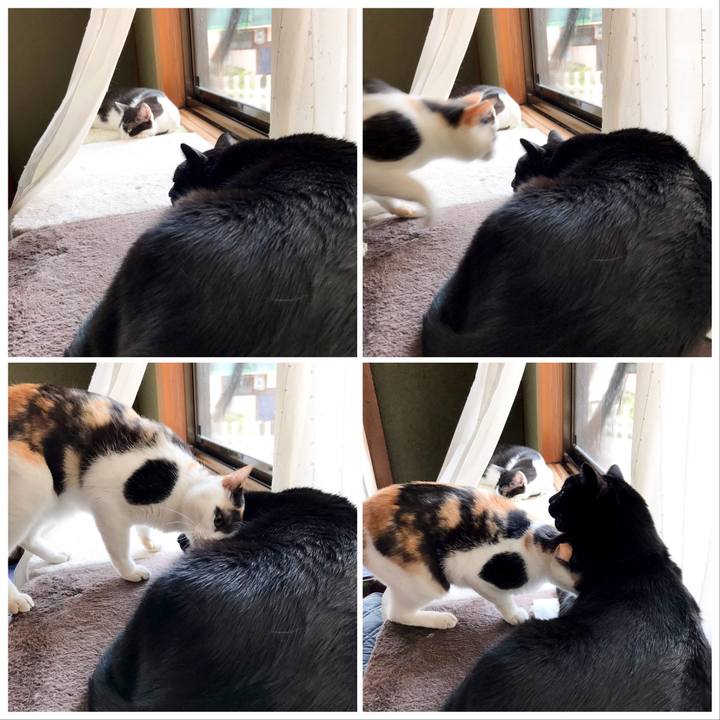 964c98d6 5843 48fc 878d d4f94e2bec15 1533083147203