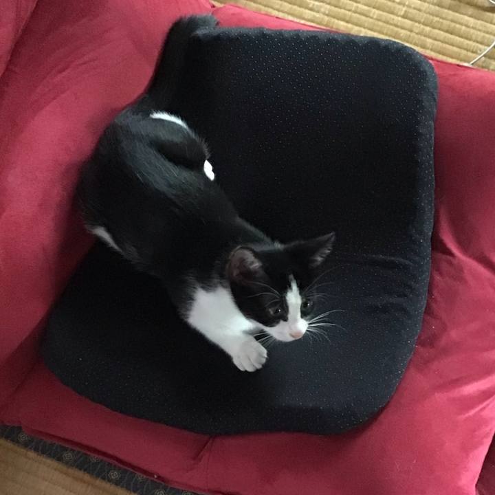 964c9c87 1565 464a 852a b242ae8a5ad6 1625980200350