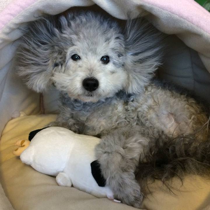 964cc322 8995 45c4 badc bf91d9ed0f25 1736158447379