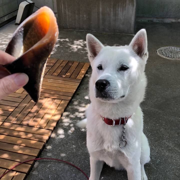 964ceac8 f481 4b25 ae1c 1a939401ca11 1524652594351