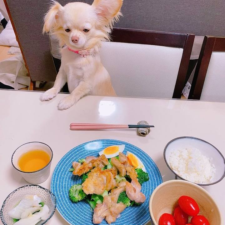 964cf970 d9fa 4477 a5b8 953e9e47a44e 1621857499258