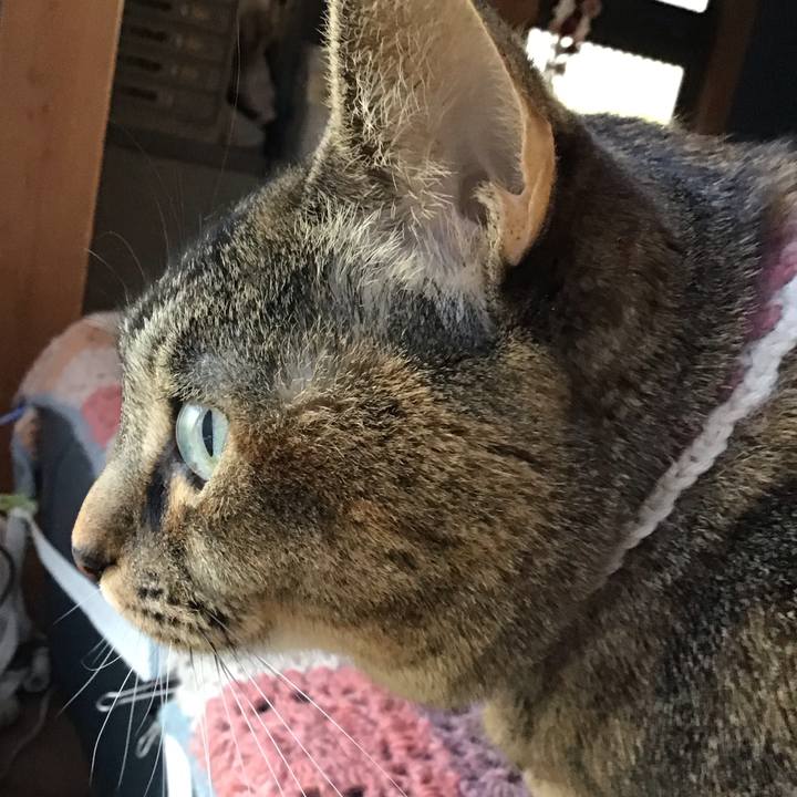 964d2dd1 bf4a 499a 88c7 806e4e312a6a 1711967544307