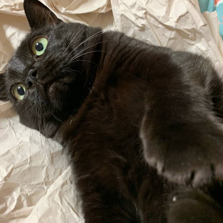 964d4484 cacf 47a8 bfd9 e97917e8333d 1561990268962