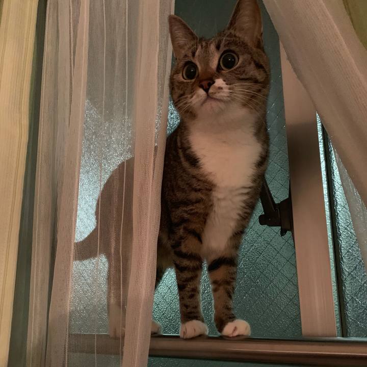 964d4d5f 5c9d 4fe1 9707 87d441327789 1573690562012