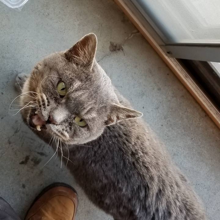 964d58b8 e399 4a43 ad0a d9c78ccfe58f 1545718447733