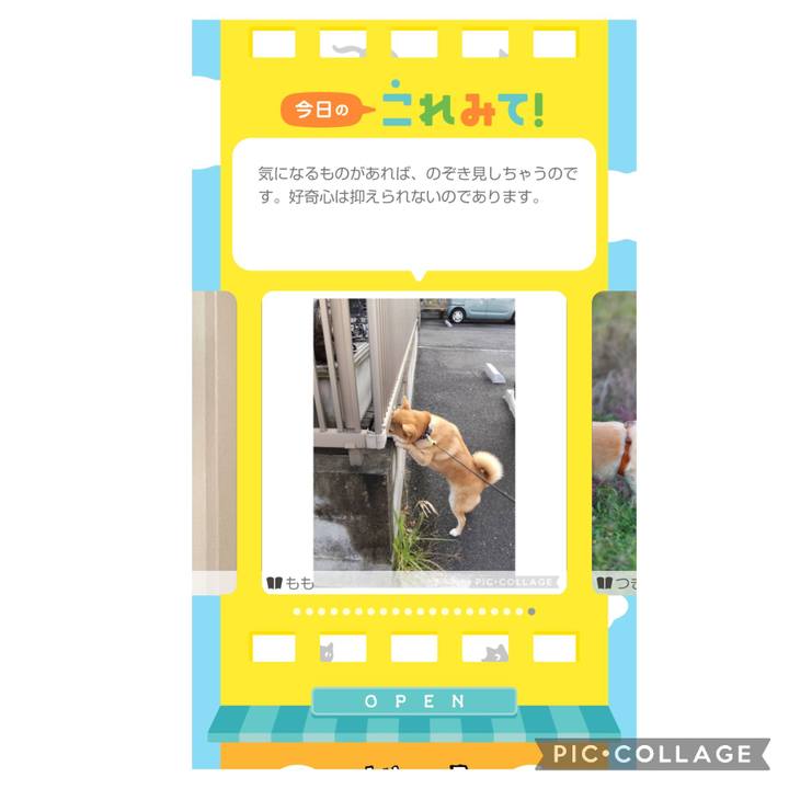 964d85e3 df27 4aed 9d98 0db330b94f96 1699493093986