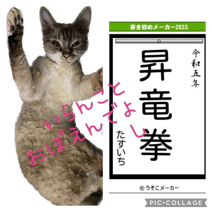 964da9cb 218d 433c 919c d0148e4eeb15 1672722423950