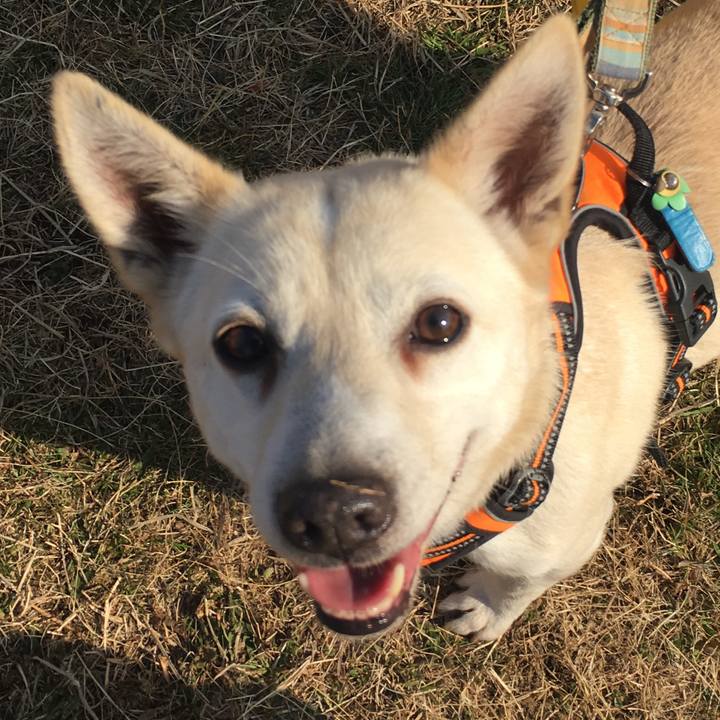 964db84d 7030 45dd 9cd4 58ba09d3a7d9 1516711464496