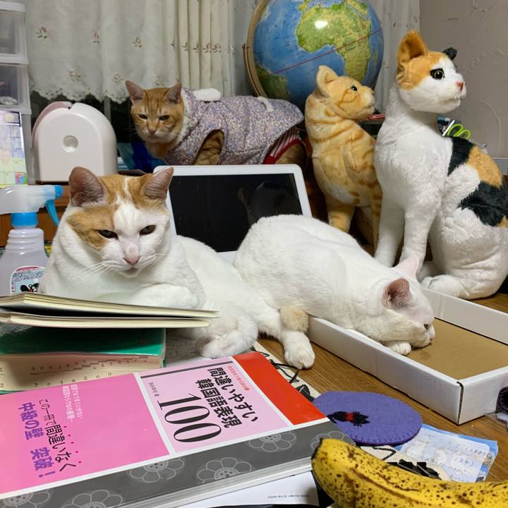 964dd390 0d90 4ba7 9183 9caf4cfb8825 1595510634440