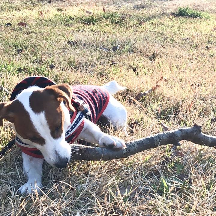 964de7bd 9732 4ffa 9857 428cf1705ee8 1552032719314