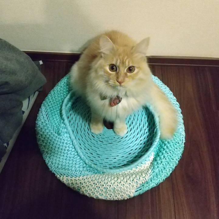 964dea68 4f72 445e 9339 1aed35554395 1646576390547