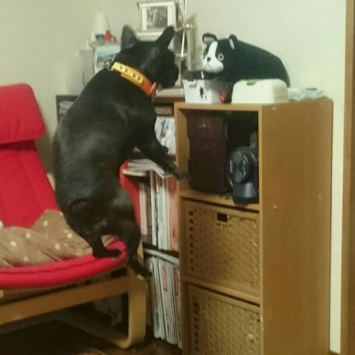 964df1b2 caec 4cc1 aa16 68dc8f320d88 1529323644481