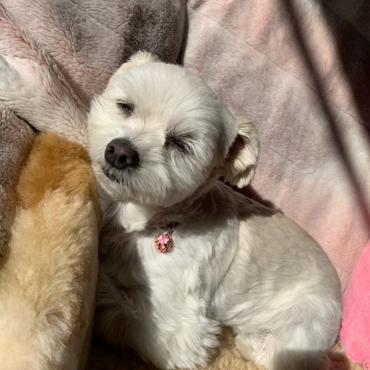 964e6f94 e015 4839 b37b a5a5b409e2ae 1607302607711