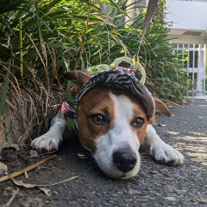 964ea20e ac2f 4c29 b74a 2c625c44e329 1721621009946