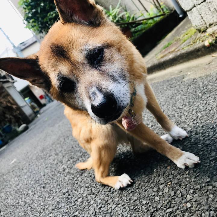 964eb0c2 b946 479c b44c c412bb735cd4 1558139999784