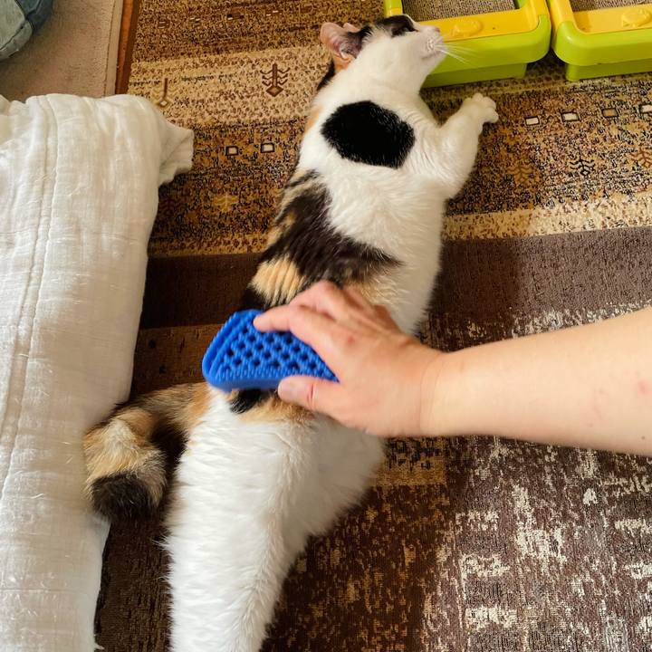 964ec4eb 022f 4341 b3d5 84868cb971b4 1624157276236