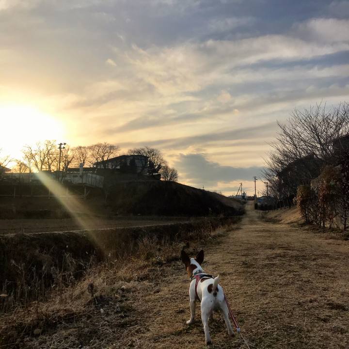 964ee9ac e3be 44ca bb36 c04553127028 1519216195461